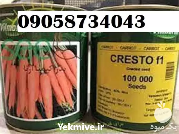 قیمت خرید بذر هویج کریستو ویلمورین در رشت در گروه خرید و فروش بذر هویج در یکمیوه -عکس1