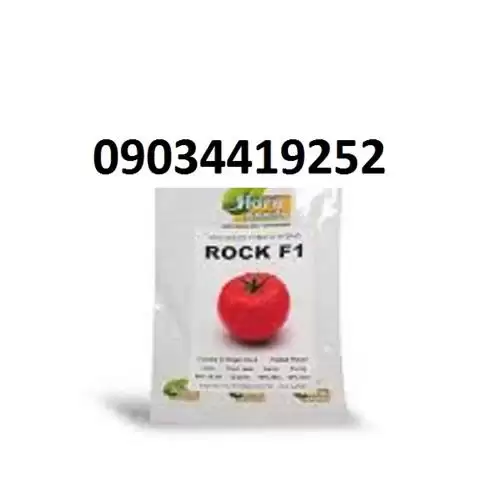 توزیع کننده بذر گوجه فرنگی راک در گروه خرید و فروش بذر گوجه در یکمیوه -عکس1