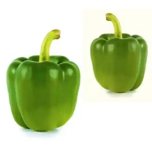 قیمت خرید بذر فلفل دلمه ایبیس در گروه خرید و فروش بذر فلفل در یکمیوه -عکس1