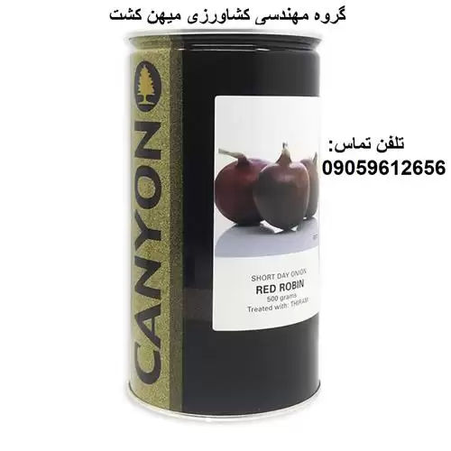 بذر پیاز قرمز روبین کانیون در گروه خرید و فروش بذر پیاز در یکمیوه -عکس1