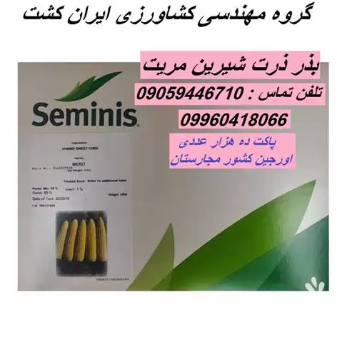 فروش بذر ذرت شیرین مریت سمینس در اردبیل در گروه خرید و فروش بذر ذرت در یکمیوه -عکس1