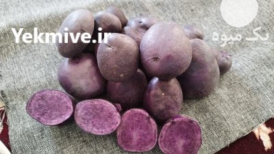 سیب زمینی بنفش در گروه خرید و فروش سیب زمینی در یکمیوه -عکس1