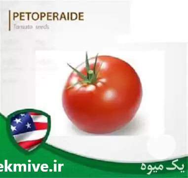 فروش پتو پراید 6 بذر گوجه در تهران در گروه خرید و فروش گوجه فرنگی در یکمیوه -عکس1