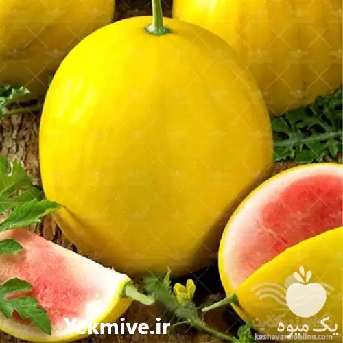 فروش بذر هندوانه پوست زرد در تبریز در گروه خرید و فروش بذر هندوانه در یکمیوه -عکس1