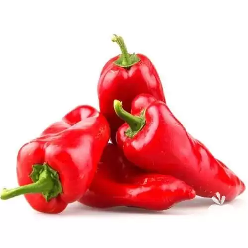 فروش بذر فلفل پاپریکا قرمز در زنجان در گروه خرید و فروش ادویه در یکمیوه -عکس1