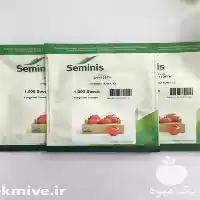 قیمت خرید بذر گوجه 4129 سیمینس در تهران در گروه خرید و فروش بذر گوجه در یکمیوه