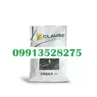 قیمت خرید بذر خیار اورکا بذر در هرمز در گروه خرید و فروش بذر خیار در یکمیوه