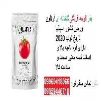 فروش بذر گوجه فرنگی گلخانه ای در گرگان در گروه خرید و فروش بذر گوجه در یکمیوه