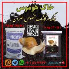 خاک هوموس مخصوص پرورش حلزون در رشت در گروه انواع محصولات خاک و تغذیه در یکمیوه