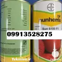 گوجه فرنگی سانسید مناسب صادرات و ادرات در زاهدان در گروه خرید و فروش گوجه فرنگی در یکمیوه