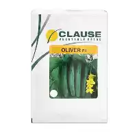 فروش بذر خیار الیور کلوز فرانسه در تهران در گروه خرید و فروش بذر خیار در یکمیوه