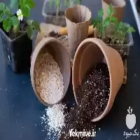 قیمت خرید خاک گیاهان آپارتمانی بسته در گروه انواع محصولات خاک و تغذیه در یکمیوه