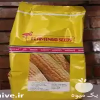 فروش عرضه بذر ذرت فلامینگو در گروه خرید و فروش بذر ذرت در یکمیوه