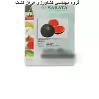 بذر هندوانه ساکاتا فایربال در گروه خرید و فروش بذر هندوانه در یکمیوه