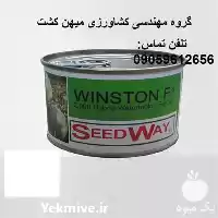 بذر هندوانه وینستون F 1 در زاهدان در گروه خرید و فروش هندوانه در یکمیوه