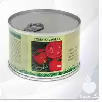 فروش بذر گوجه فرنگی در ارومیه در گروه خرید و فروش بذر گوجه در یکمیوه