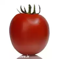 فروش بذر گوجه فرنگی افرا دارای در اهواز در گروه خرید و فروش بذر گوجه در یکمیوه