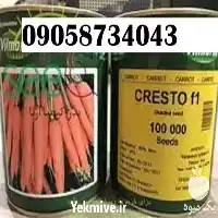 قیمت خرید بذر هویج کریستو ویلمورین در رشت در گروه خرید و فروش بذر هویج در یکمیوه