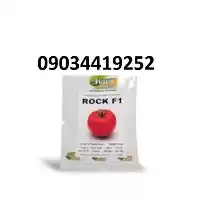 توزیع کننده بذر گوجه فرنگی راک در گروه خرید و فروش بذر گوجه در یکمیوه