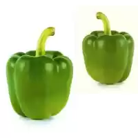 قیمت خرید بذر فلفل دلمه ایبیس در گروه خرید و فروش بذر فلفل در یکمیوه