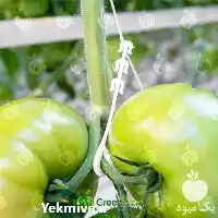 خرید قلاب نگهدارنده ترک در تهران در گروه خرید و فروش لوازم باغبانی در یکمیوه