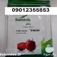 پر فروش ترین بذر گوجه فرنگی در مشهد در گروه خرید و فروش بذر گوجه در یکمیوه