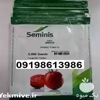 بذر گوجه فرنگی بریویو پرفروش اصل در اهواز در گروه خرید و فروش گوجه فرنگی در یکمیوه