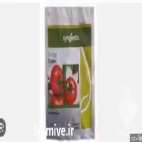 قیمت خرید بذر گوجه فرنگی دافنیس در ارومیه در گروه خرید و فروش بذر گوجه در یکمیوه