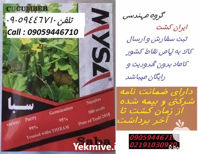 فروش بذر خیار در اصفهان در گروه خرید و فروش بذر خیار در یکمیوه -عکس1
