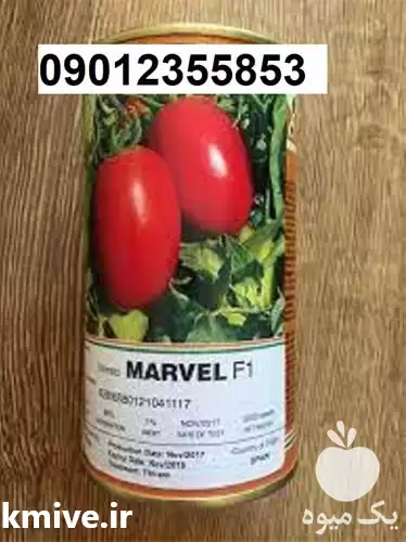 بذر گوجه فرنگی مارول پرفروش در گروه خرید و فروش گوجه فرنگی در یکمیوه -عکس1