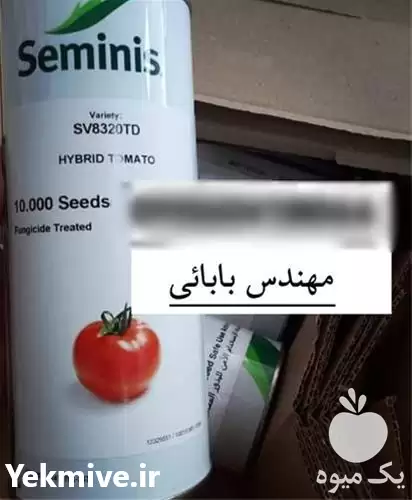 فروش بذر گوجه فرنگی 8320 در اصفهان در گروه خرید و فروش بذر گوجه در یکمیوه -عکس1