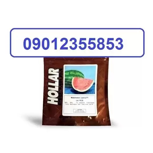 قیمت خرید بذر هندوانه هولار در سمنان در گروه خرید و فروش بذر هندوانه در یکمیوه -عکس1