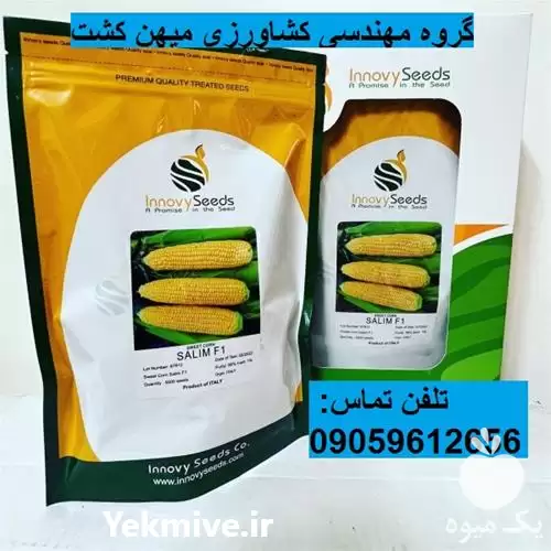 بذر ذرت مرغوب سوپر شیرین سلیم در همدان در گروه مهندس کشاورزی در یکمیوه -عکس1