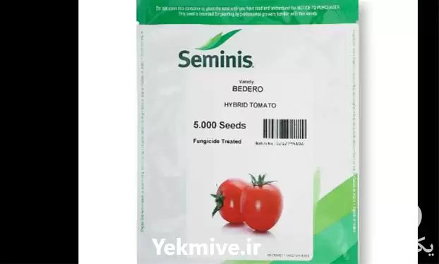 قیمت خرید بذر گوجه بدرو سمینیس در ارومیه در گروه خرید و فروش بذر گوجه در یکمیوه -عکس1