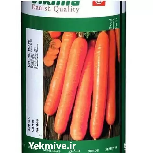 قیمت خرید بذر هویج کینگ تاکی در تبریز در گروه خرید و فروش بذر هویج در یکمیوه -عکس1