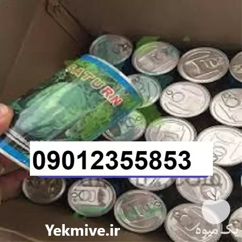 بذر هندوانه میکادو پر فروش اصل در گروه خرید و فروش هندوانه در یکمیوه -عکس1