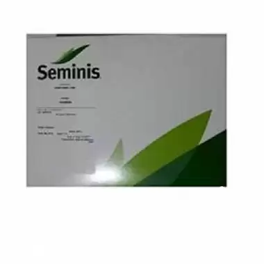 فروش بذر ذرت شیرین بیسین در اهواز در گروه خرید و فروش بذر ذرت در یکمیوه -عکس1