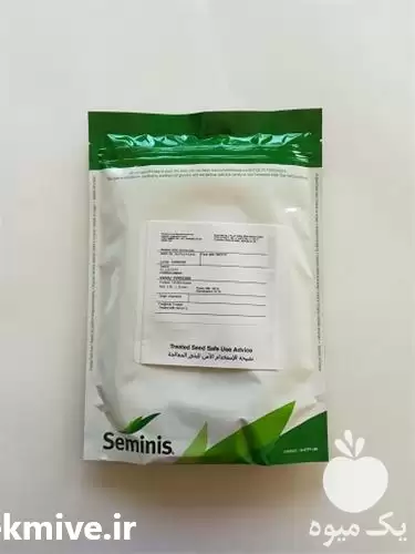 قیمت خرید بذر پیاز 4043 سیمینس در گروه خرید و فروش بذر پیاز در یکمیوه -عکس1