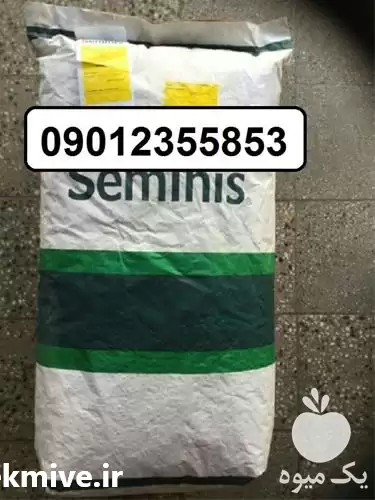 قیمت خرید بذر نخود فرنگی سمینیس در ساری در گروه خرید و فروش بذر نخود در یکمیوه -عکس1