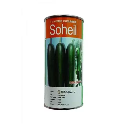 فروش سهیل بذر خیار در گروه خرید و فروش بذر خیار در یکمیوه -عکس1