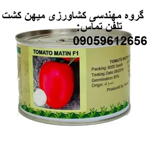 بذر گوجه متین F 1 در اهواز در گروه خرید و فروش بذر گوجه در یکمیوه -عکس1