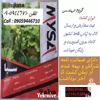 فروش بذر خیار در اصفهان در گروه خرید و فروش بذر خیار در یکمیوه