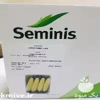 قیمت خرید توزیع عرضه بذر ذرت در گروه خرید و فروش بذر ذرت در یکمیوه