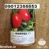 بذر گوجه فرنگی مارول پرفروش در گروه خرید و فروش گوجه فرنگی در یکمیوه