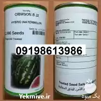 قیمت خرید بذر هندوانه با کیفیت در اهواز در گروه خرید و فروش بذر هندوانه در یکمیوه