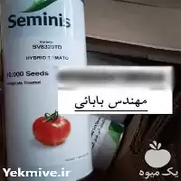 فروش بذر گوجه فرنگی 8320 در اصفهان در گروه خرید و فروش بذر گوجه در یکمیوه