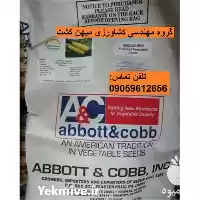 فروش بذر ذرت سوپر شیرین در یزد در گروه خرید و فروش بذر ذرت در یکمیوه