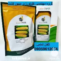 بذر ذرت مرغوب سوپر شیرین سلیم در همدان در گروه مهندس کشاورزی در یکمیوه