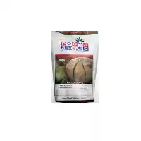 قیمت خرید بذر طالبی سمسوری در گروه خرید و فروش بذر طالبی در یکمیوه