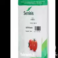 قیمت خرید بذر گوجه بدرو سمینیس در ارومیه در گروه خرید و فروش بذر گوجه در یکمیوه